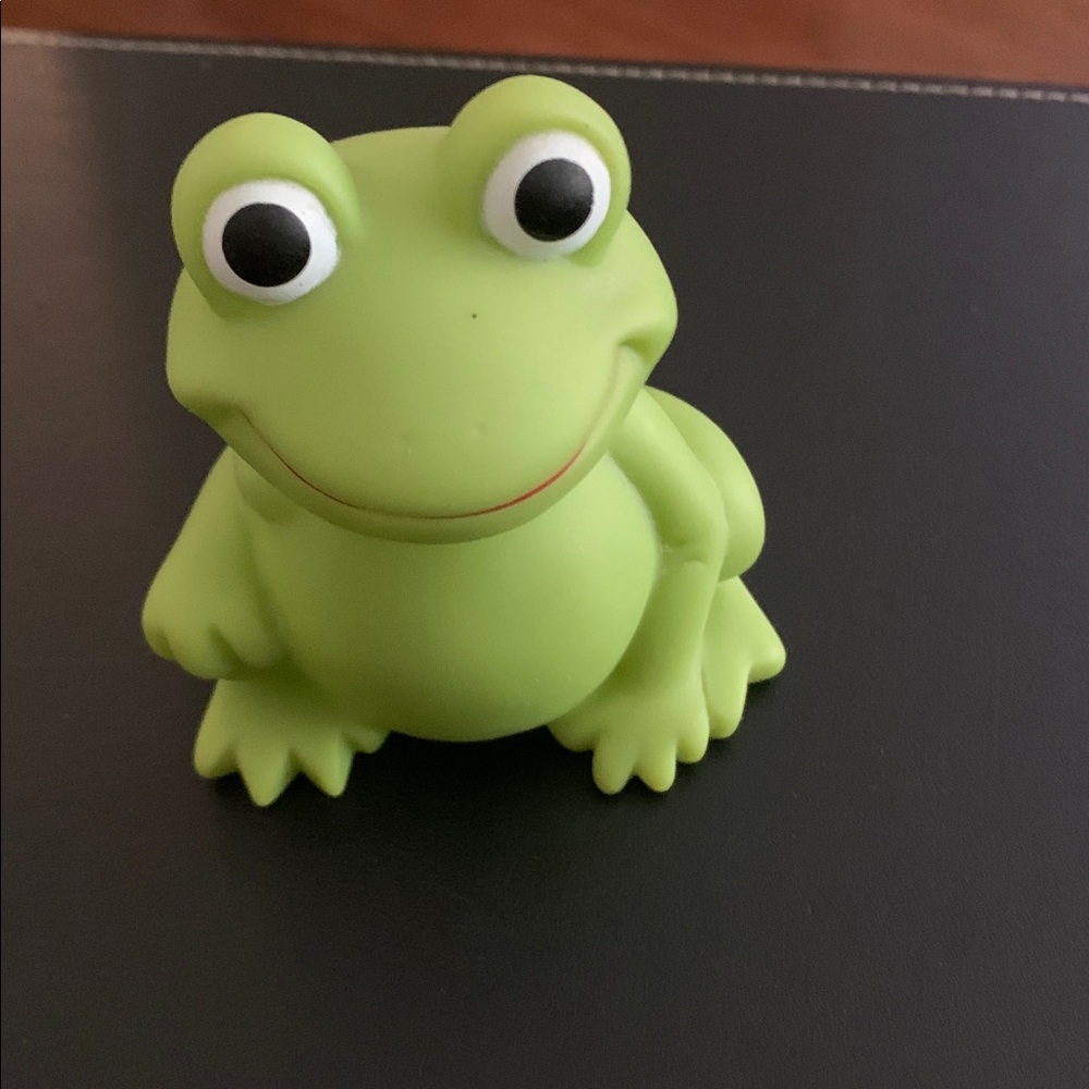 Green Frog Squishy Toy